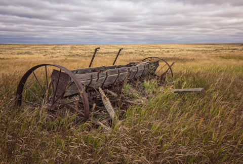 Abandoned Seed Drill