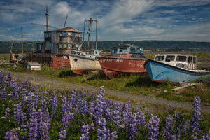 Old wooden boat graveyard - Homer, Alaska